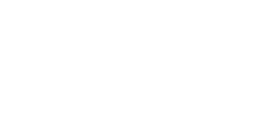 Drop Icon Boxed