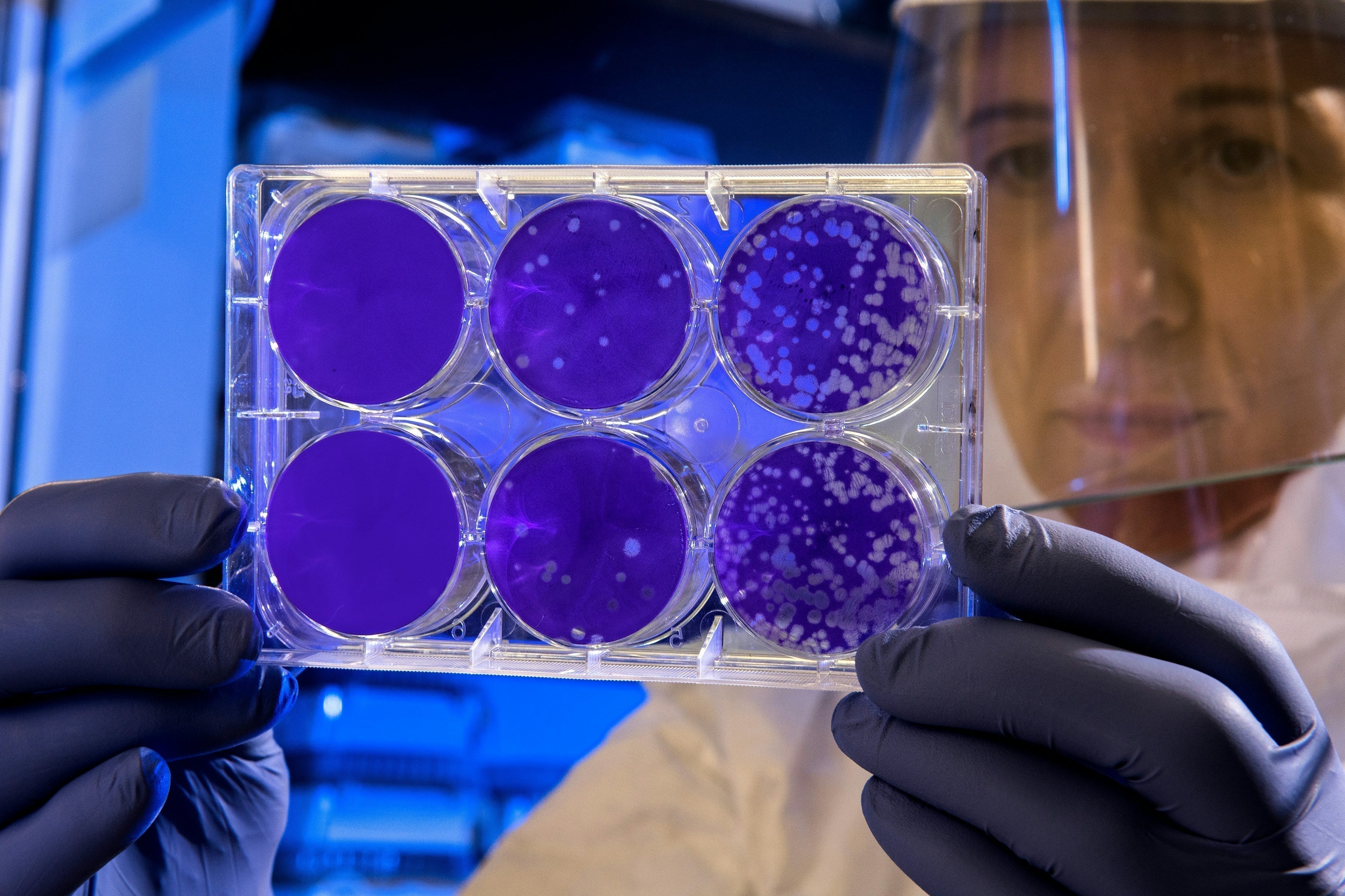 What Are Stem Cells? A Complete Guide for Parents
