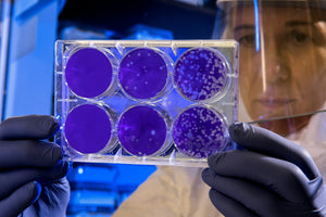 What Are Stem Cells? A Complete Guide for Parents