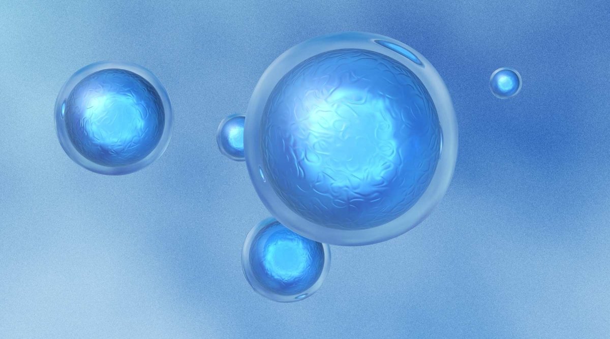 Unveiling the Power of Stem Cells: Cord Blood, Cord Tissue, and Placenta Tissue - AlphaCord